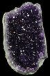 Dark Purple Amethyst Cut Base Cluster - Uruguay #36636-2